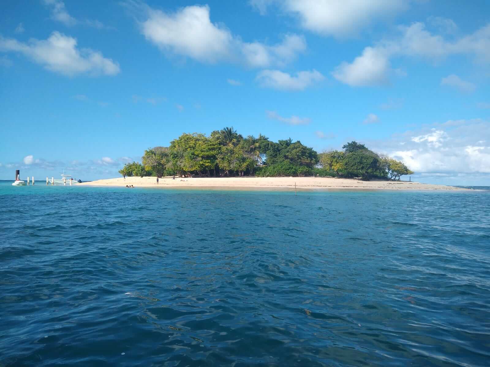 WhatsApp Image 2020-12-13 at 12.04.18